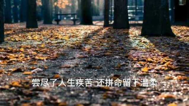 致自己,感悟