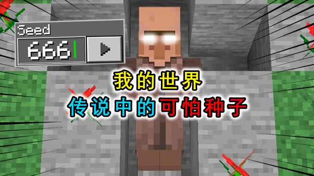 我的世界:传说中的可怕种子,实体303真实存在?能回复玩家消息