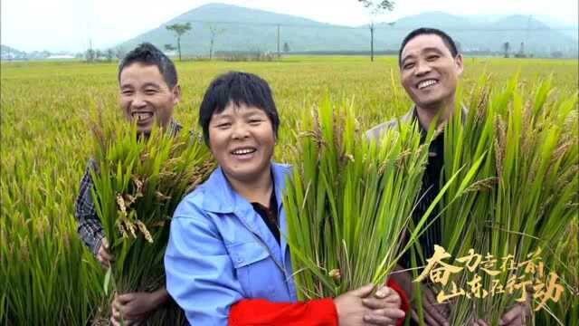 “奋力走在前——沿着总书记的足迹看变化”第十七届中国网络媒体山东行活动启动