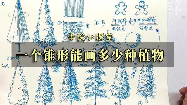 【单体拆解】一个锥形可以画出多少种植物?