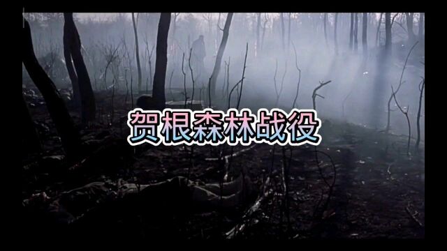 二战:盟军进攻齐格菲防线受挫 伤亡惨重