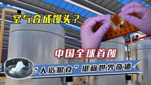 空气合成馒头?中国全球首创,“人造粮食”技术堪称世界奇迹