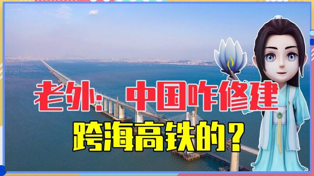 老外纳闷了:中国咋修建跨海高铁的?1大利器曝光,美国也想学习