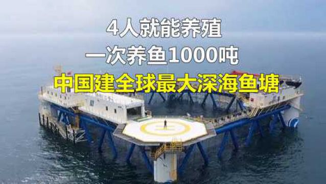 中国建全球最大深海鱼塘,一次养鱼1000吨,4人就能养殖!