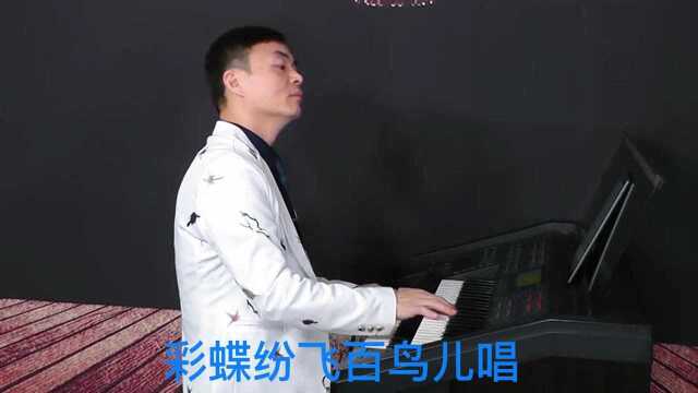 《美丽的草原我的家》双排键电子管风琴演奏:殷铁凡