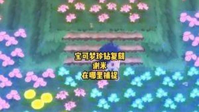 【宝可梦珍钻复刻】谢米的捕捉地点在哪里#精灵宝可梦 #神奇宝贝