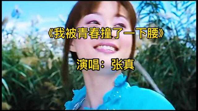 张真演唱《我被青春撞了一下腰》