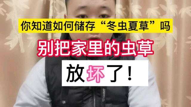 如何储存“冬虫夏草”,别把家里的虫草放坏了