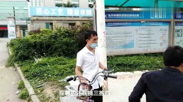 广东东莞:这几个厂都在招聘,难道你们找工作的都不知道吗