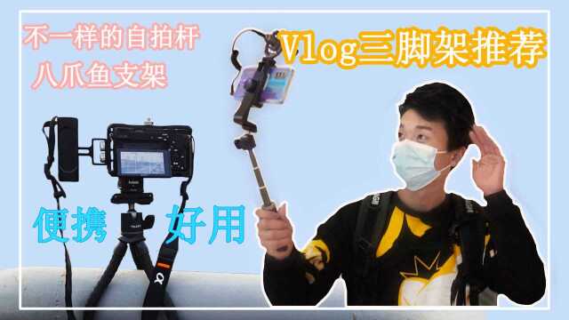 适合大众的Vlog便携三脚架分享,泰迅桌面三脚架评测,真是户外拍摄利器呀