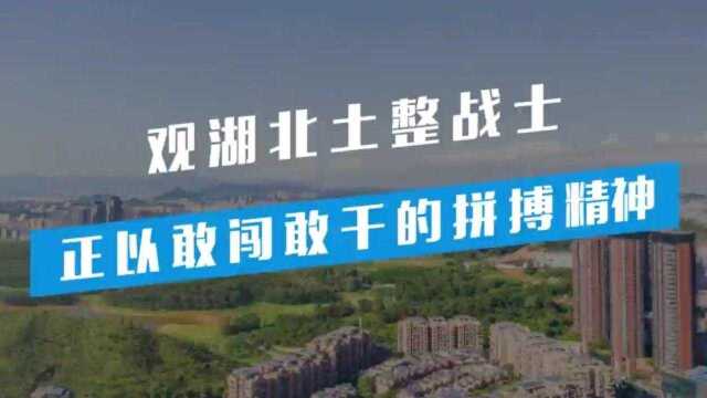 龙华区观湖北产业地块土地整备利益统筹项目集中签约仪式