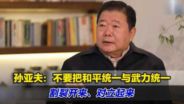 孙亚夫:不要把和平统一与武力统一割裂开来、对立起来