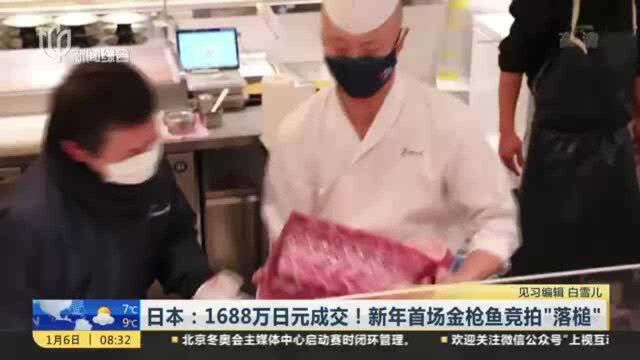 日本:1688万日元成交!新年首场金枪鱼竞拍“落槌”