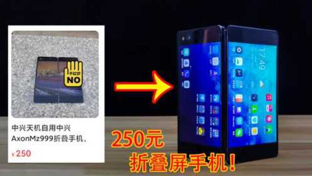 花250元捡漏中兴折叠屏手机!能流畅的打王者和吃鸡!250元值了!