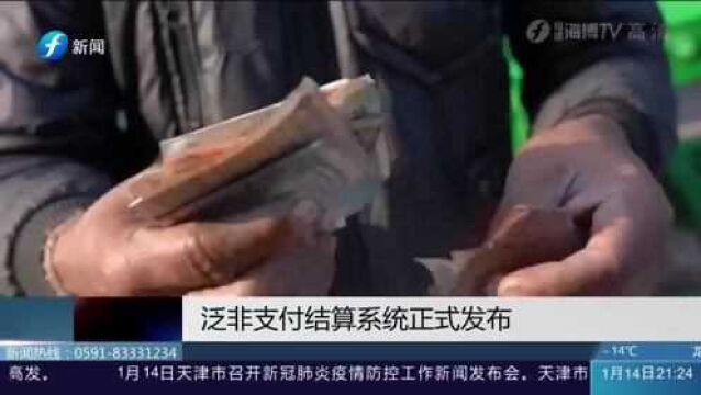 泛非支付结算系统正式发布,可减少对第三方货币的依赖