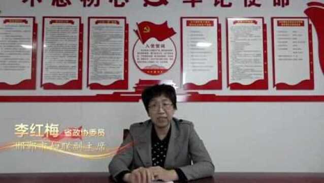 代表委员看法院丨省政协委员李红梅:加大司法服务力度,不断优化营商环境