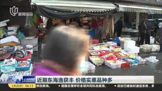 近期东海渔获丰 价格实惠品种多