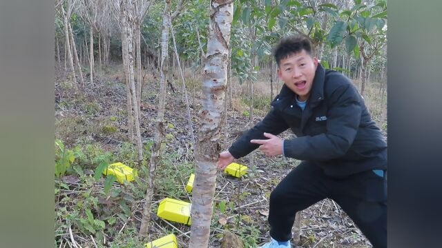 小伙在农村寻宝,发现野生的盲盒,打开笑的合不拢嘴!