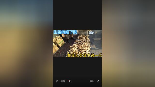 山东生姜持续暴跌,看今天卖多少钱一斤?大吃一惊!