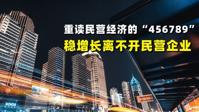 重读民营经济的“456789”,稳增长离不开民营企业