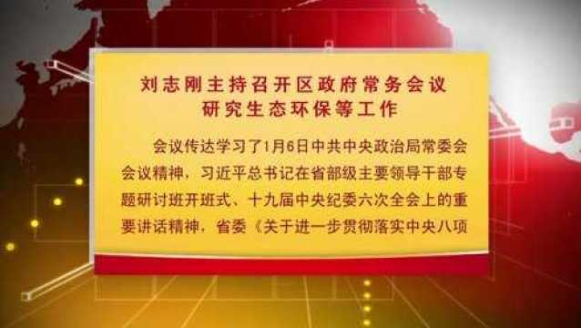 刘志刚主持召开区政府常务会议 研究生态环保等工作