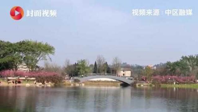 春节去哪儿玩?内江市市中区吃喝玩乐住一站式解决