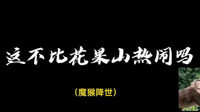 欢迎来到花果山!