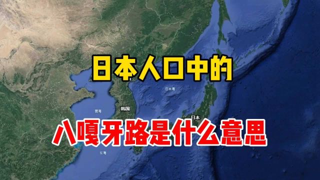 日本人口中的八嘎牙路是什么意思