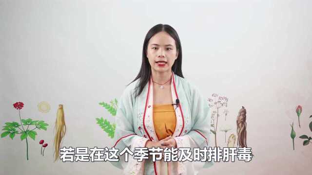 蒲公英是常见的“排毒草”,你知道怎么用吗