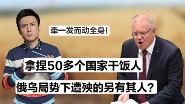 粮价暴涨扯出资本布局,多国打响粮食保卫战,中国提前抄底成功?