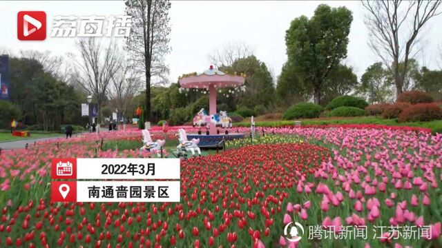 春色满园关不住!南通啬园20余万株郁金香花开成海