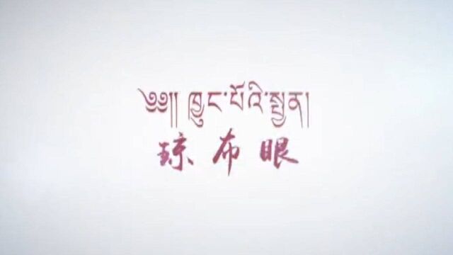 提高生态环境意识 共建美丽幸福丁青—丁青县召开生态环境保护知识宣讲会暨知识测试