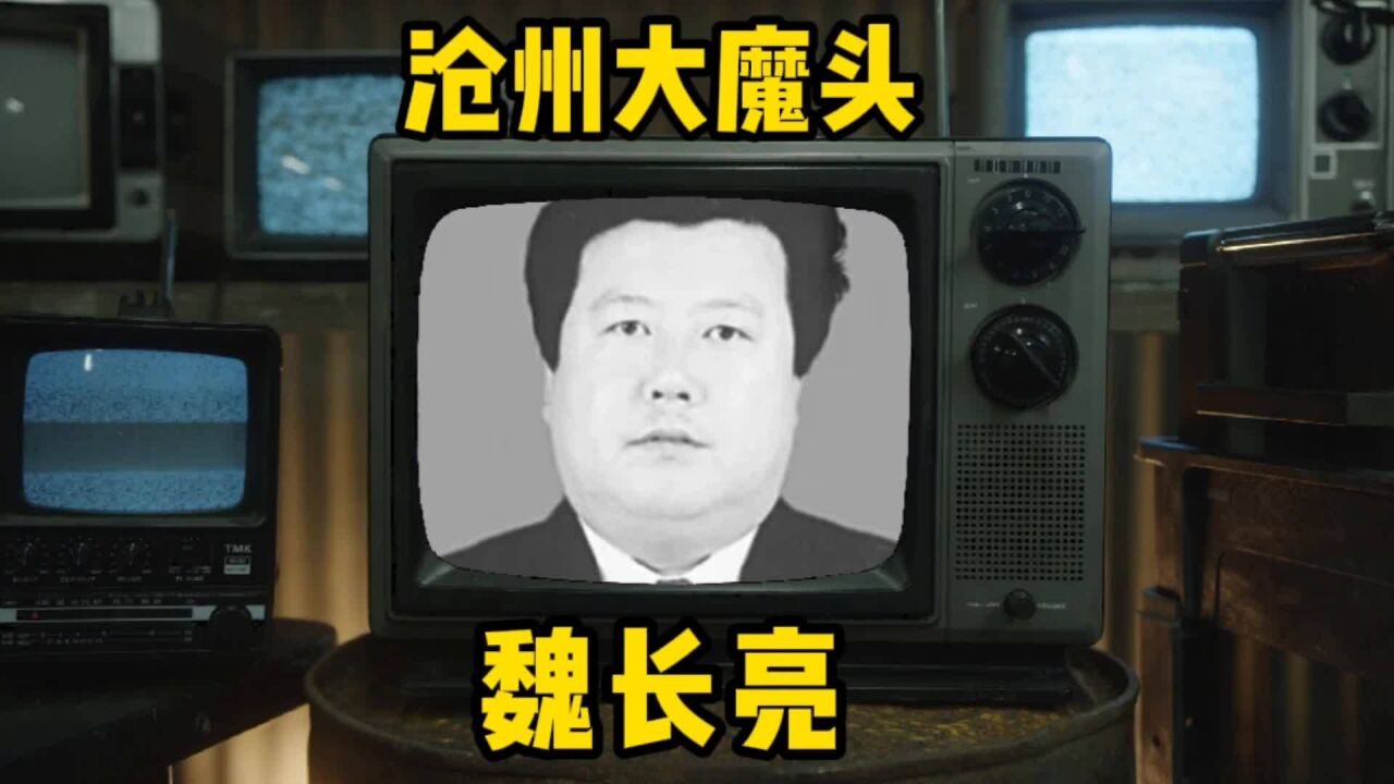 河北沧州 魏长亮