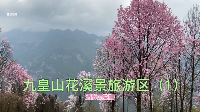 2022年3月中旬的四川绵阳北川九皇山花溪景旅游区(1)