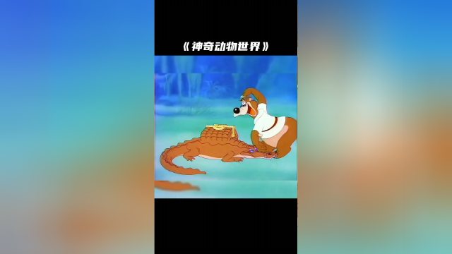 s640x360?max_age=7776000
