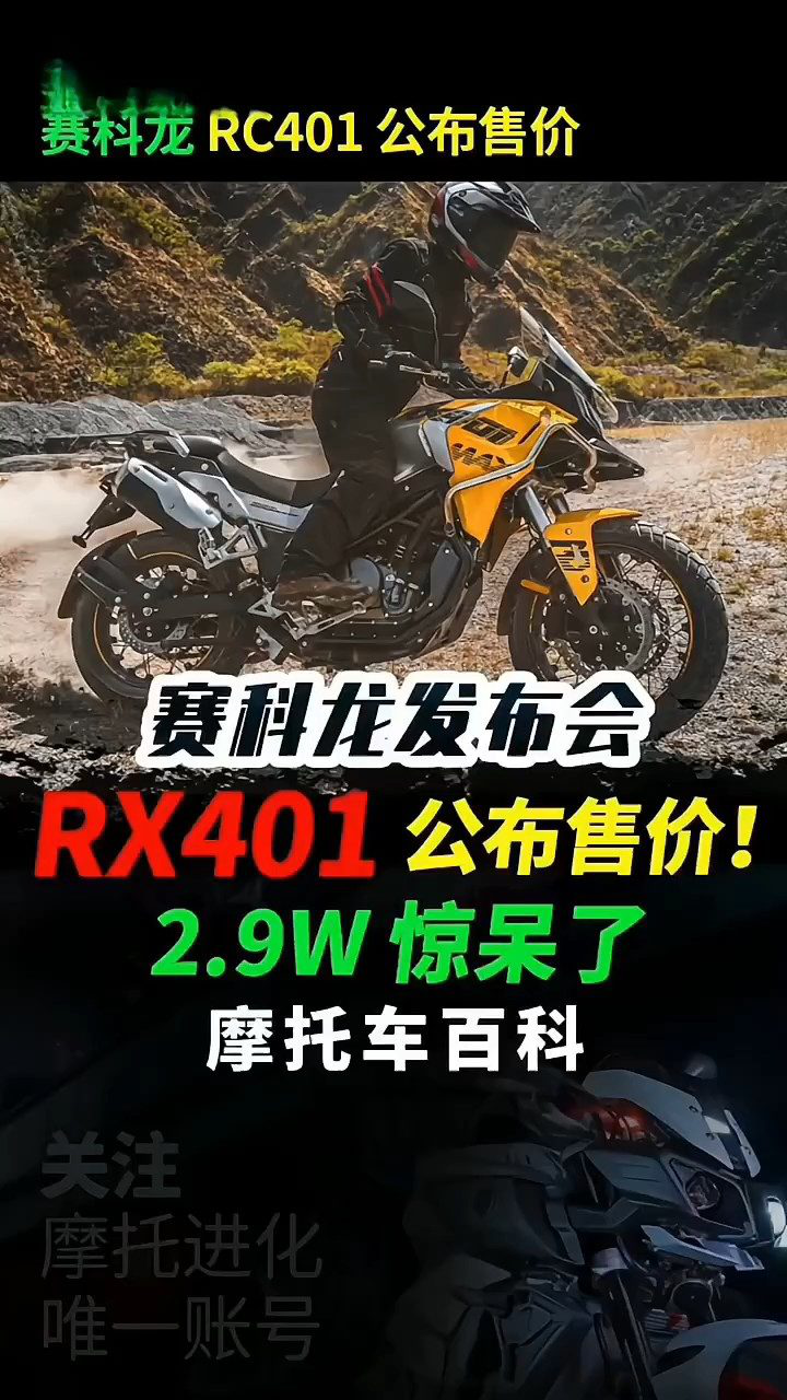 赛科龙rx401