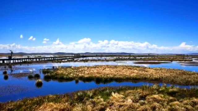 【阿坝旅游网】若尔盖花湖、黄河九曲第一湾4月28日开园啦!!!