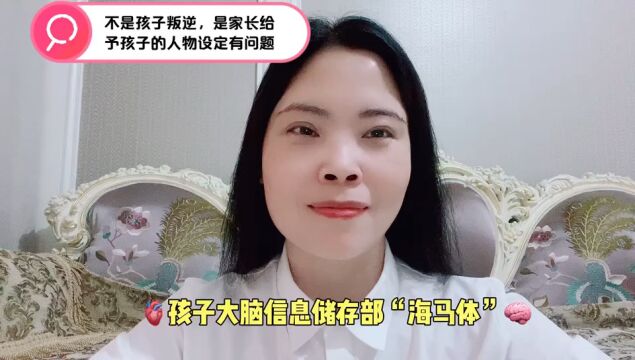 孩子大脑信息储存部“海马体”