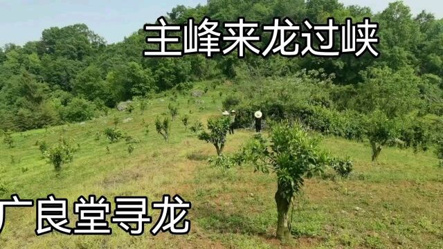 纸上得来终觉浅、真山真水永为真,不涉山水千万里,何来铁口念真经,大江南北不覆践,信口雌黄害己人!