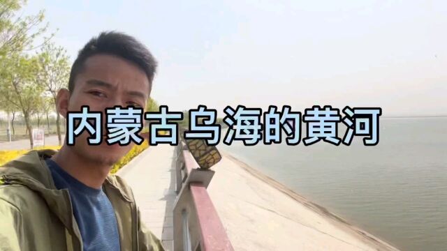 内蒙古乌海黄河来打卡!难得休闲的一天!来走走看看