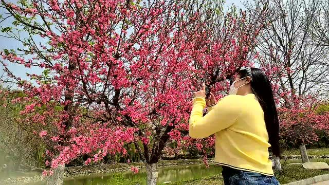 熊岳植物园:满园春色,五月共赏!