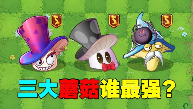 PVZ测试:3个金卡蘑菇!他们的实力如何,谁是最强菇王?