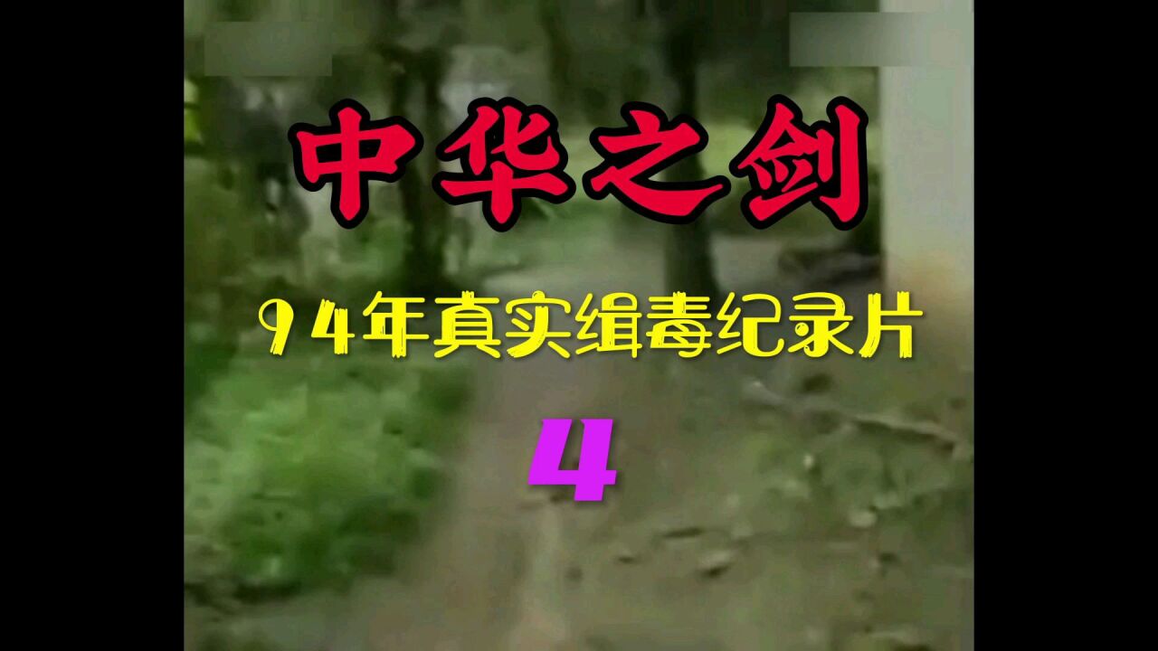 中华之剑:真实缉毒纪录片