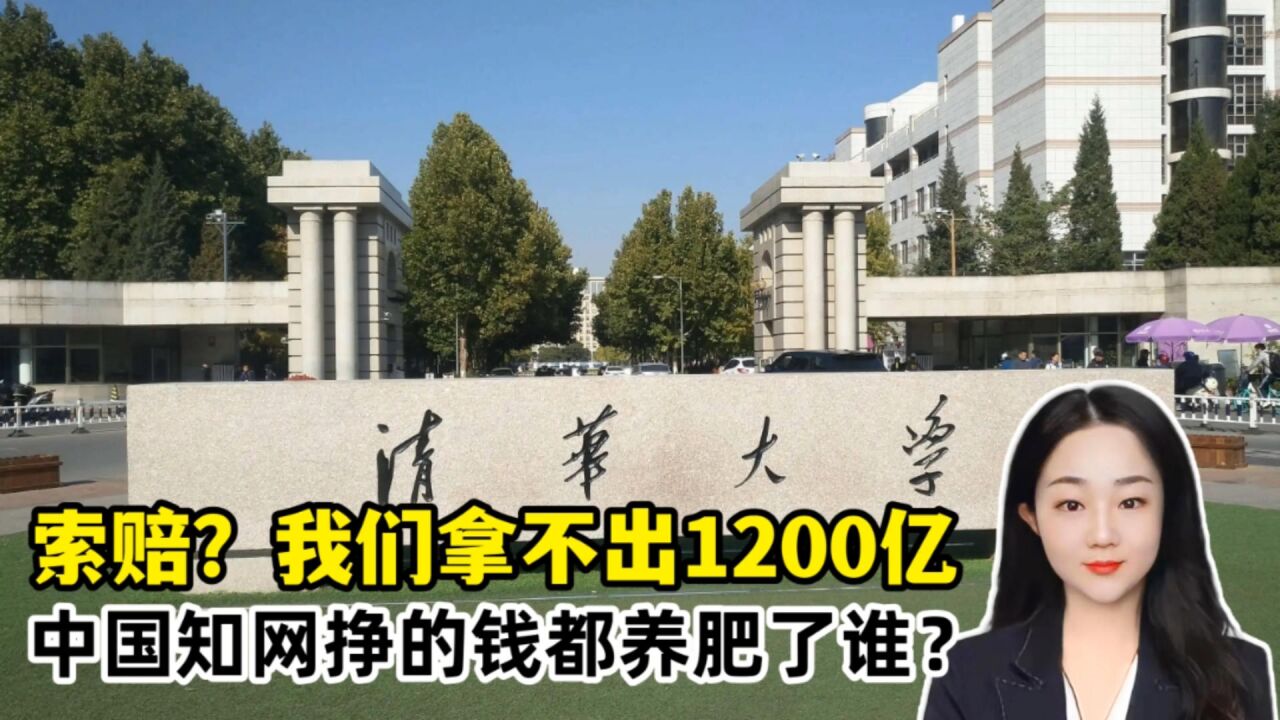 索赔?没门,我们赔不起1200亿!中国知网挣的钱都养肥了谁?