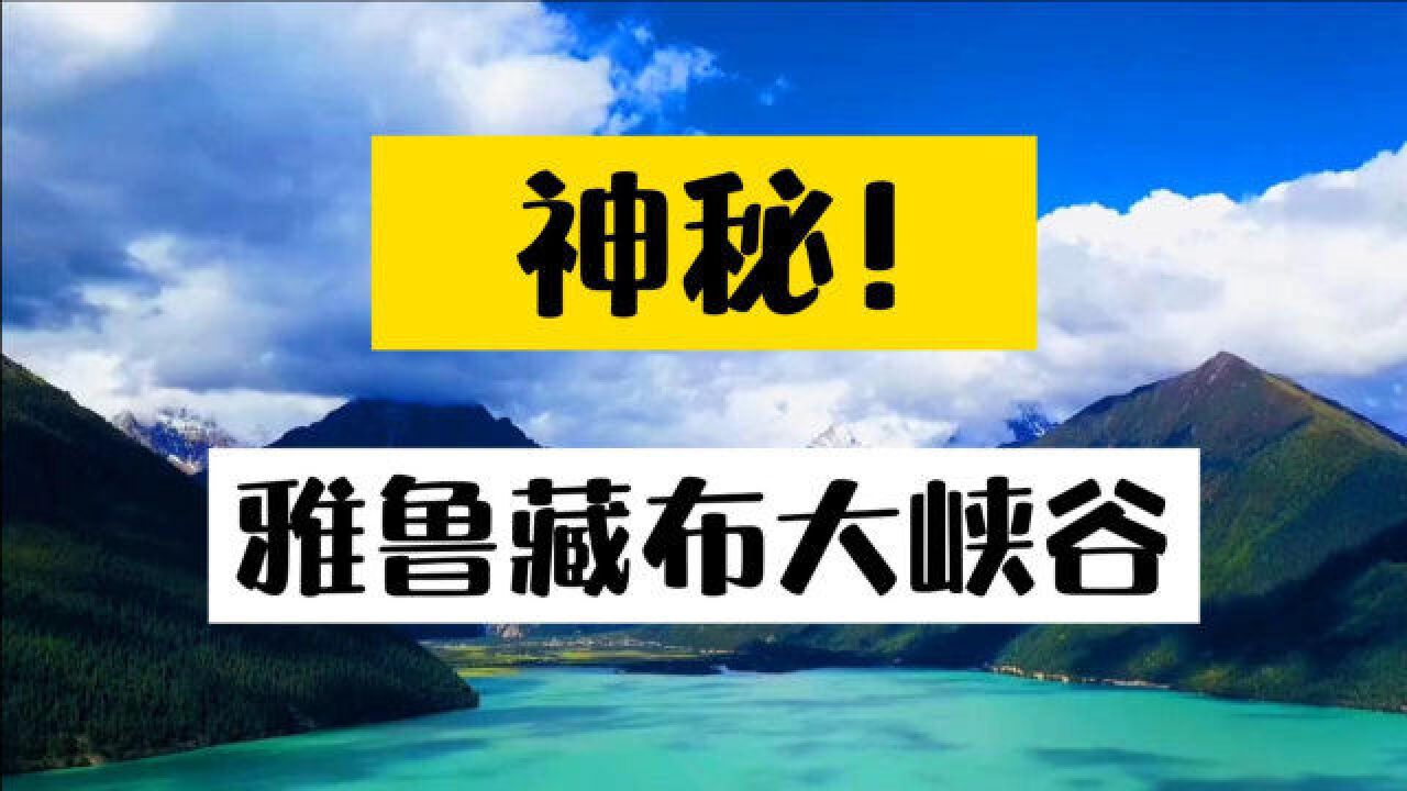 世界第一大峡谷,探秘雅鲁藏布大峡谷,神秘动物让人大开眼界?