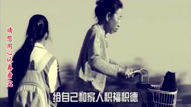 相册(19)