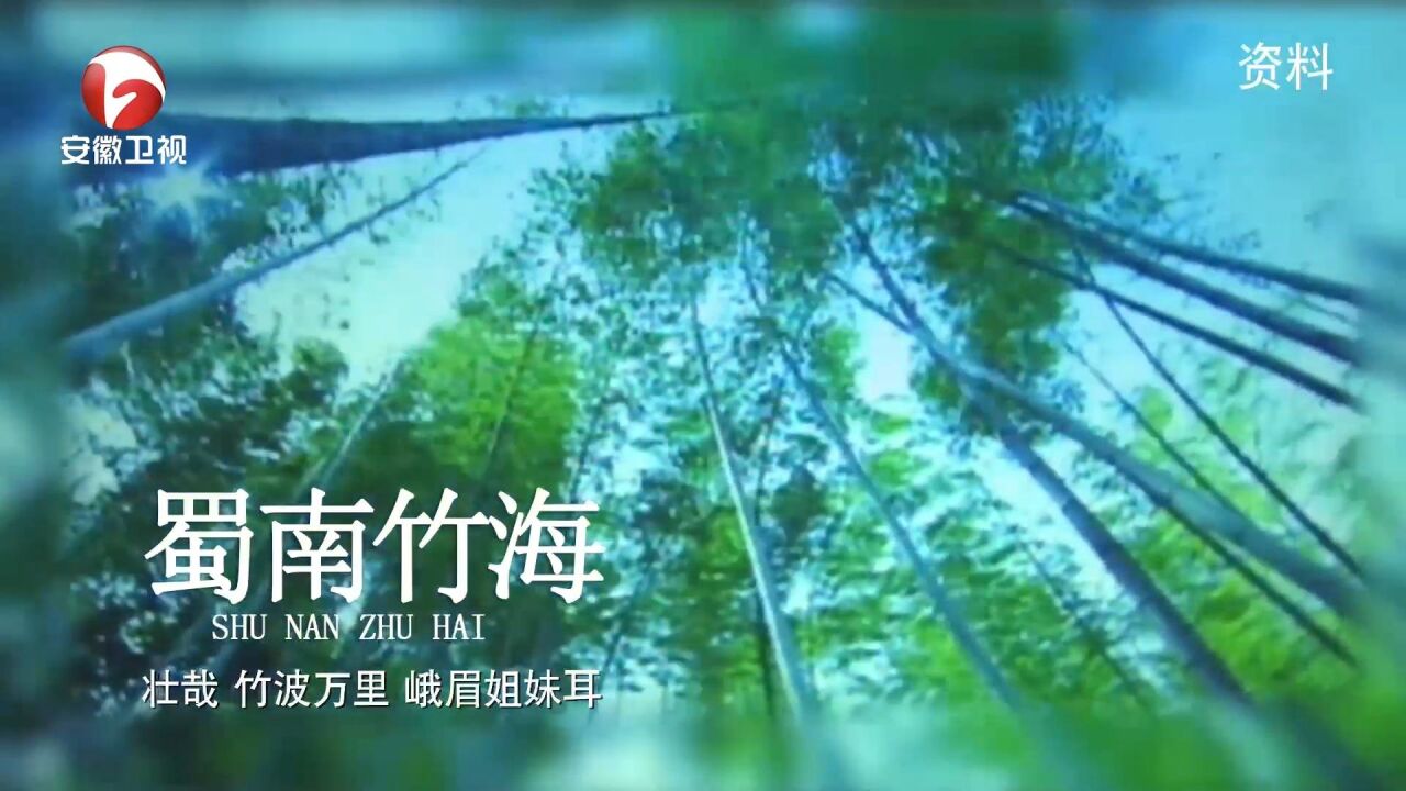 蜀南竹海的美景,300多种竹子丛生,看起来太美了|悦美食