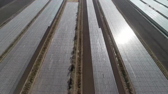 新华全媒+|新疆阿拉尔:棉花种植告别“汗滴禾下土”