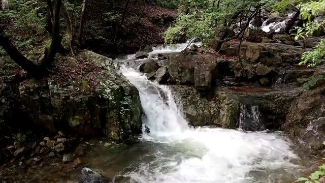 山里小溪流水特写