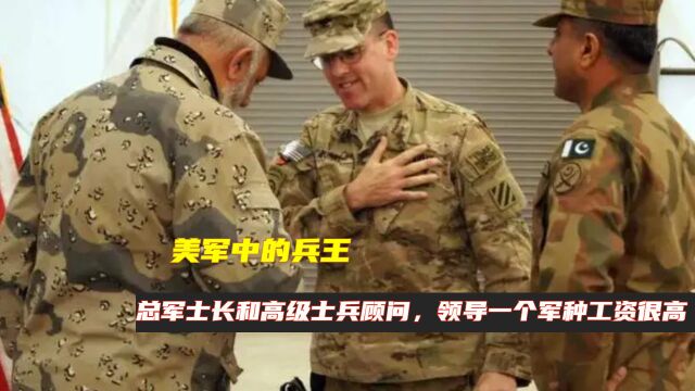 美军中的兵王:总军士长和高级士兵顾问,领导一个军种工资很高